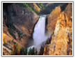 Lower Falls, Yellowstone - Wyoming